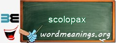 WordMeaning blackboard for scolopax